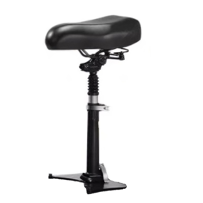 Scaun pentru trotineta electrică AERIUM H5600 Dual